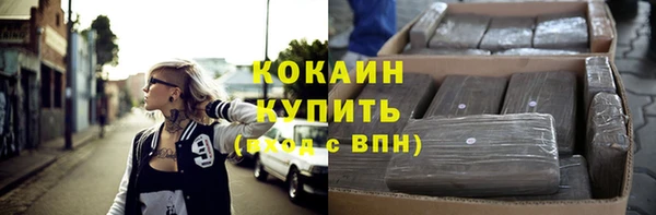 гашик Новодвинск
