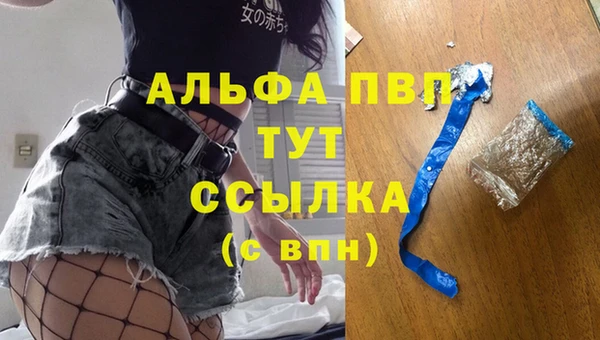 гашик Новодвинск